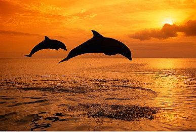 《战地6》服务器浏览器测试即将上线 主创亲解AI争议